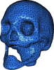 Cgal-skull-surface.png
