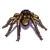 Wesnoth-units-monsters-spider-ranged-3.png