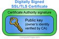 Certificate-authority-diagram.jpg