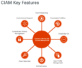 Key-features-of-ciam.png