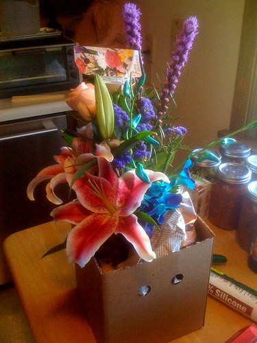 文件:Pass the pmp 3205.jpg