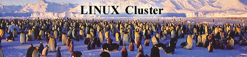 Linux cluster.jpg