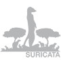 Suricata-90x90.gif