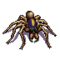 Wesnoth-units-monsters-spider-melee-3.png