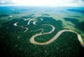 亚马逊森林.jpg