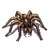 Wesnoth-units-monsters-spider.png