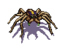 Wesnoth-units-monsters-spider-melee-6.png