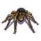 Wesnoth-units-monsters-spider-ranged-3.png