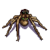 Wesnoth-units-monsters-spider-ranged-5.png