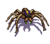 Wesnoth-units-monsters-spider-melee-5.png