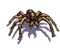 Wesnoth-units-monsters-spider-melee-5.png