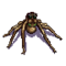 Wesnoth-units-monsters-spider-ranged-6.png