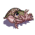 Wesnoth-units-monsters-cuttlefish-ranged-3.png