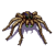 Wesnoth-units-monsters-spider-ranged-2.png