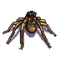 Wesnoth-units-monsters-spider-ranged-4.png