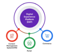 Digital-Experience-Platform-DXP.png