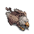 Wesnoth-units-monsters-gryphon.png